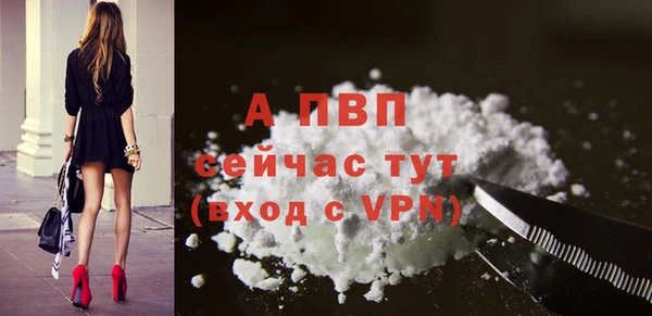прущие крисы Новозыбков