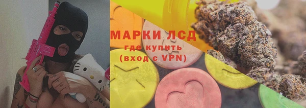 прущие крисы Новозыбков