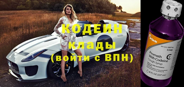 прущие крисы Новозыбков