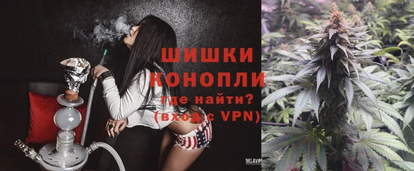 МДПВ Теберда
