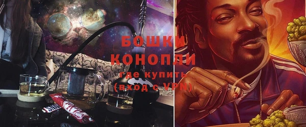 альфа пвп Новокубанск