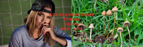 альфа пвп Новокубанск