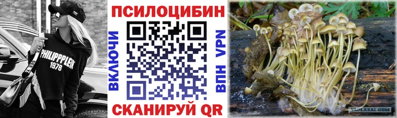 купить наркотики цена Пыталово МЕГА как зайти Галлюциногенные грибы мухоморы