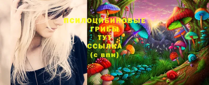 KRAKEN маркетплейс  Пыталово  Псилоцибиновые грибы Magic Shrooms 